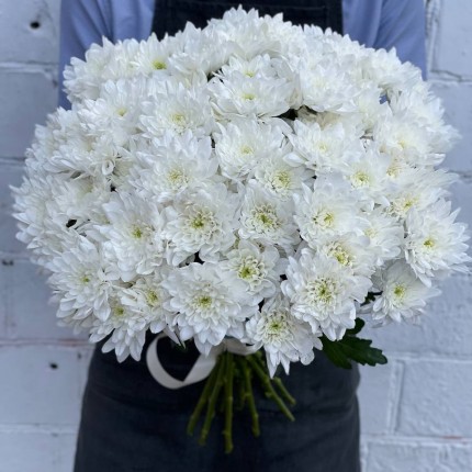Белая кустовая хризантема - купить с доставкой в по Перхушково