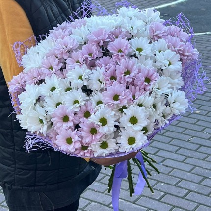 букет из розовой кустовой хризантемы - купить с доставкой в по Перхушково