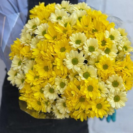 желтая кустовая хризантема - купить с доставкой в по Перхушково